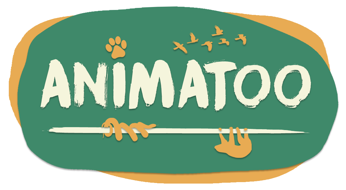 Animatoo