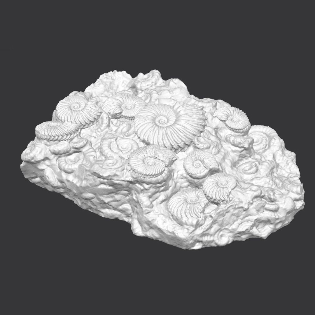 Une commande originale