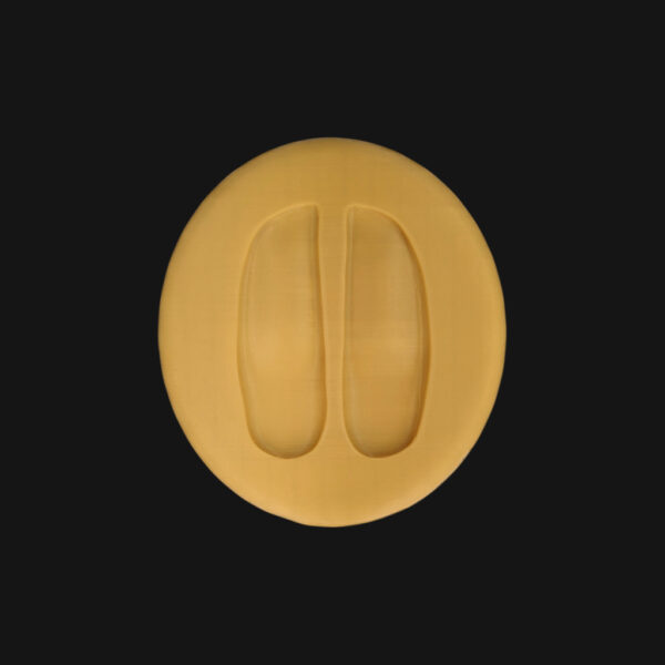 Empreinte de cerf