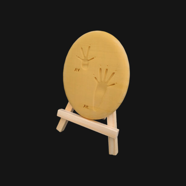 Empreinte d'écureuil roux