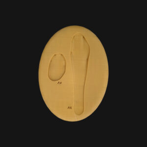 Empreinte de lièvre – Image 2