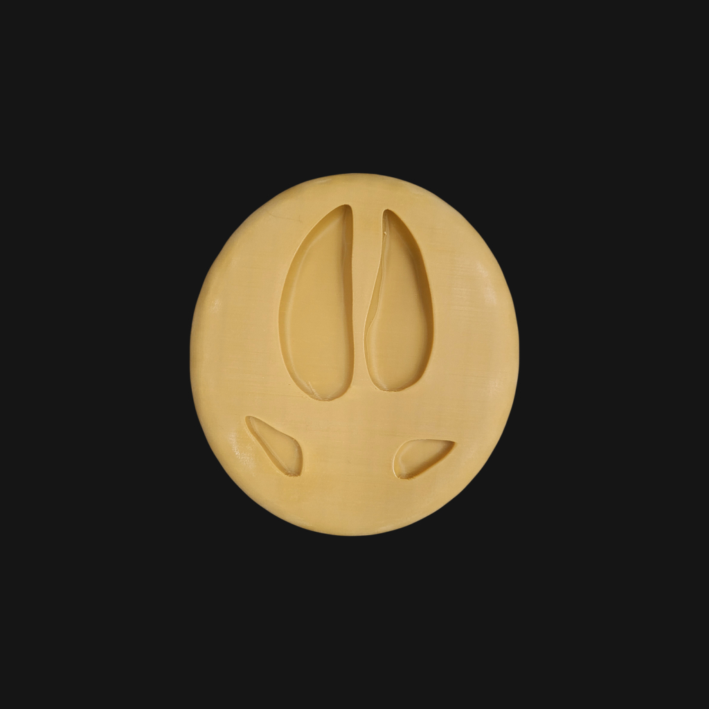 Empreinte de sanglier – Image 2
