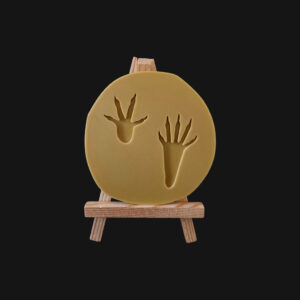 Empreinte d'écureuil réalisée en impression 3D