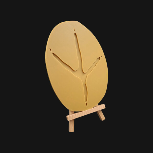 Empreinte de héron cendré