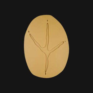 Empreinte de héron cendrée réalisée en impression 3D