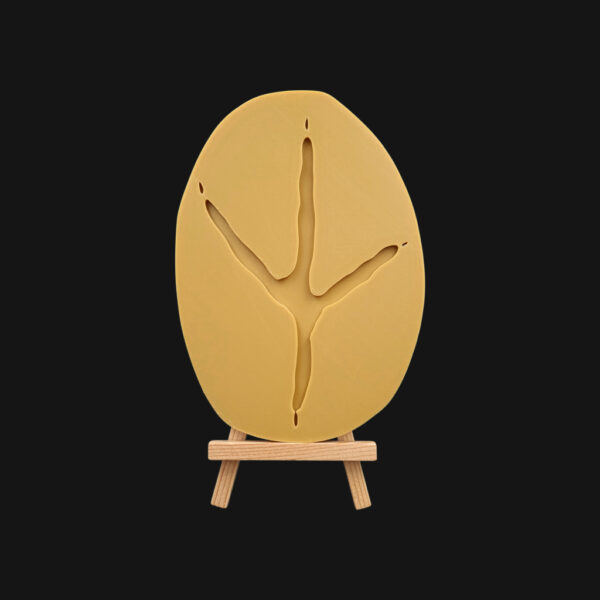 Empreinte de héron cendré