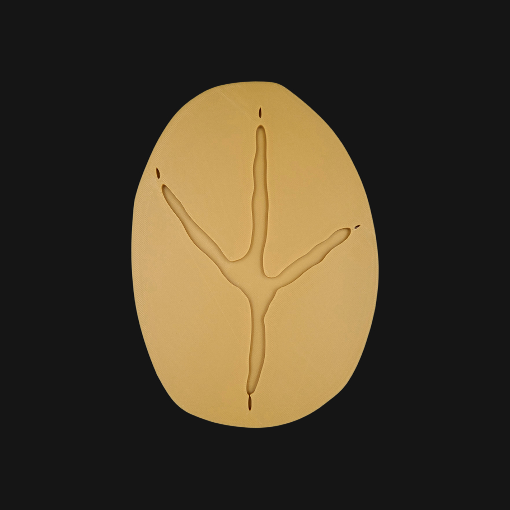 Empreinte de héron cendrée réalisée en impression 3D