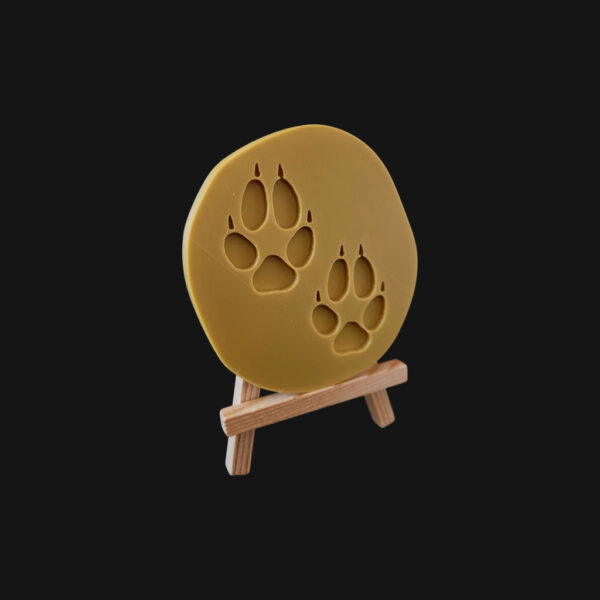 Empreinte de renard réalisée en impression 3D