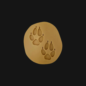 Empreinte de renard réalisée en impression 3D