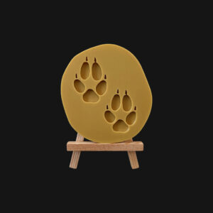 Empreinte de lièvre réalisée en impression 3D