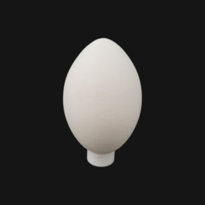 Réplique d'œuf de nandou réalisée en impression 3D