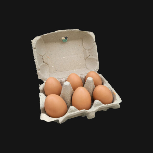 Œuf de poule