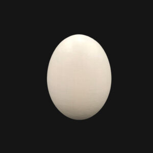 Œuf d'autruche