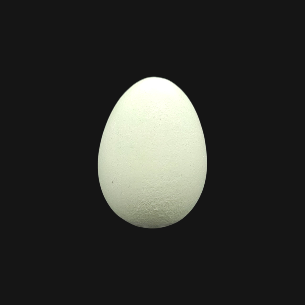 Œuf de canard colvert – Image 1