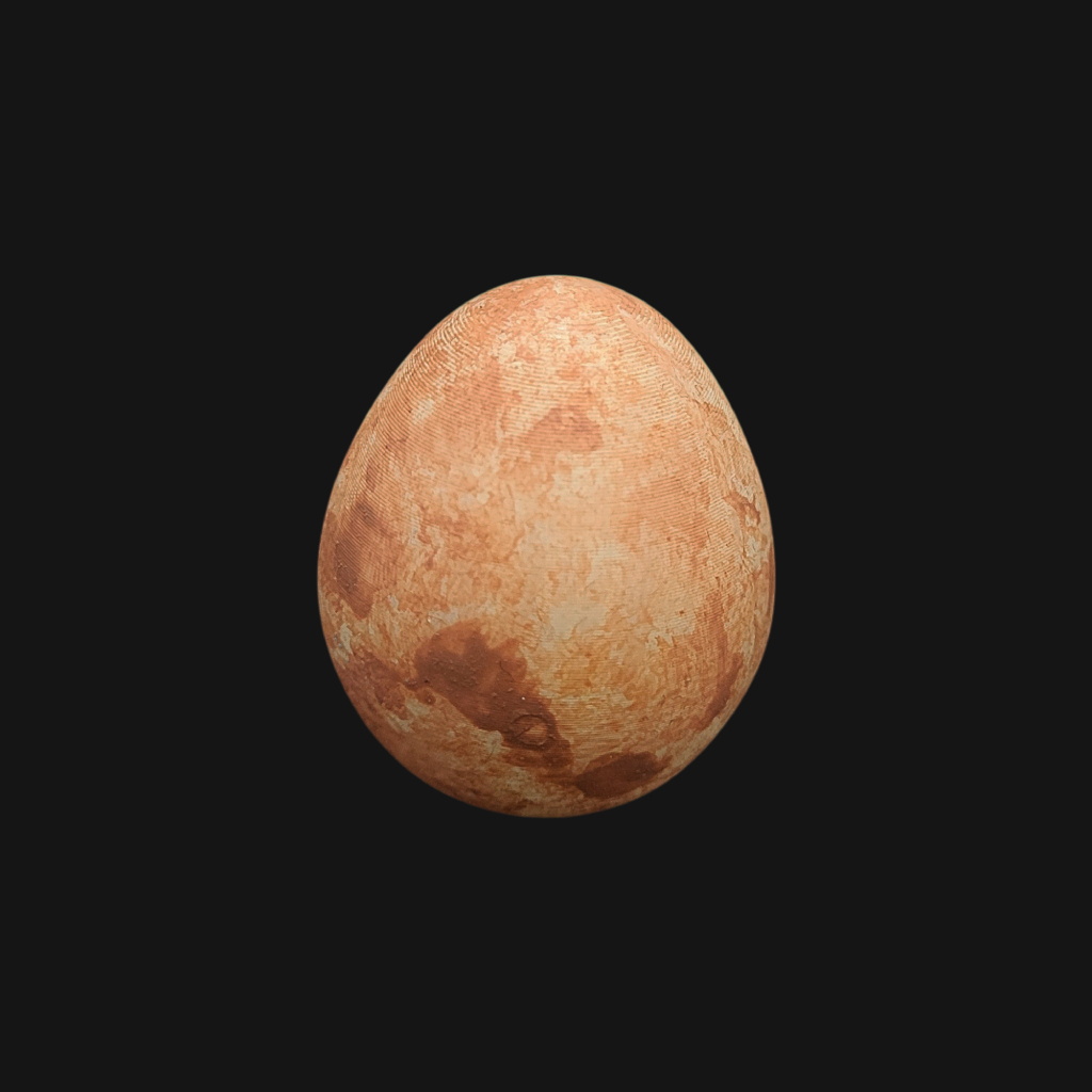 Œuf de faucon crécerelle – Image 1
