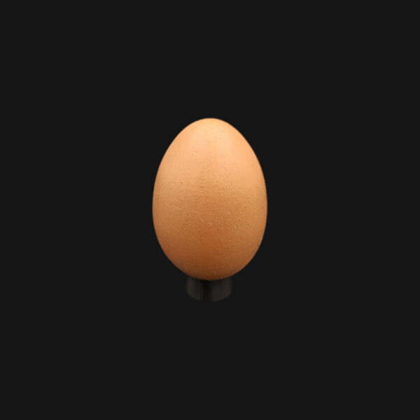 Œuf de poule