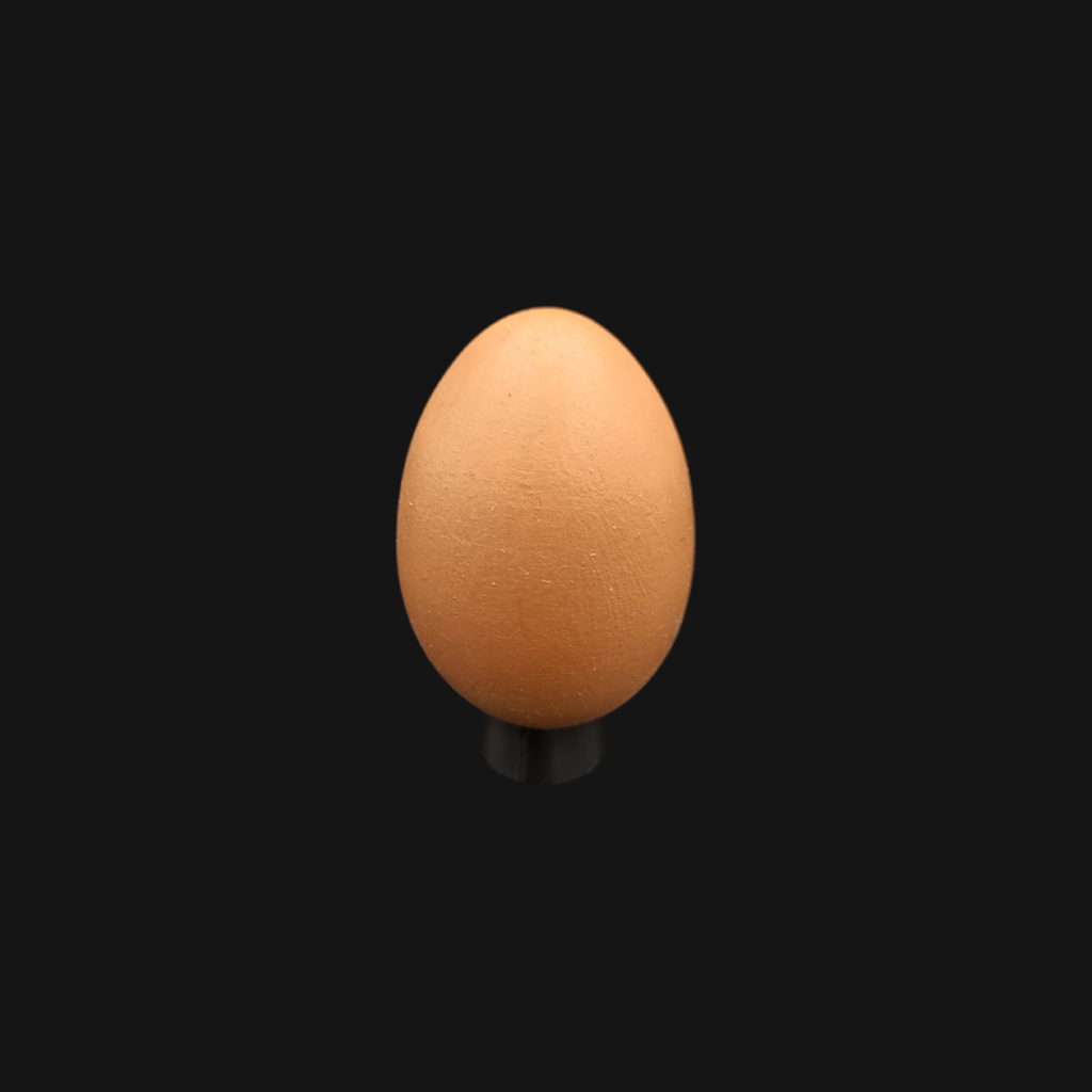 Œuf de poule – Image 1