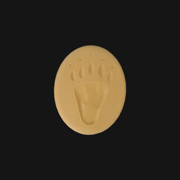 Empreinte de coati
