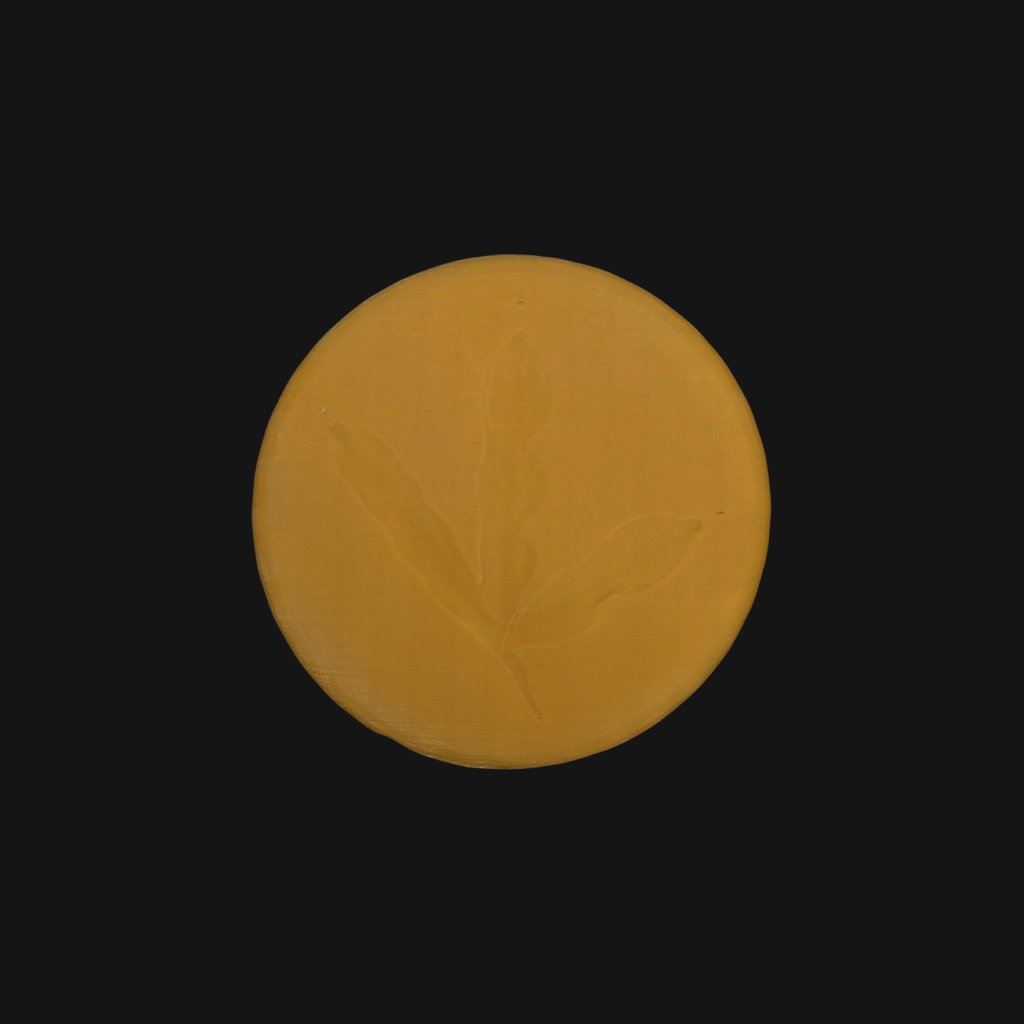 Pack "foulque macroule" – Image 8
