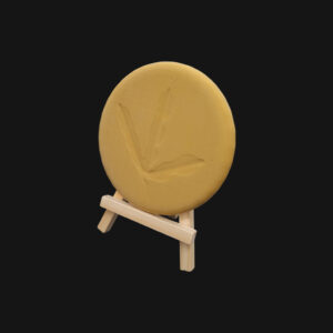 Pack "foulque macroule" – Image 7