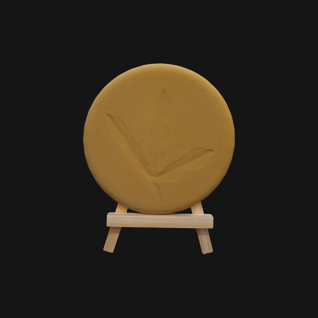 Pack "foulque macroule" – Image 6