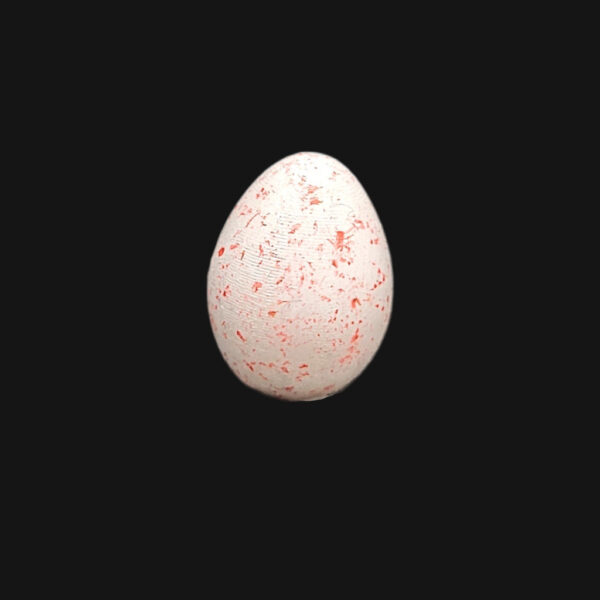 Œuf de mésange charbonnière