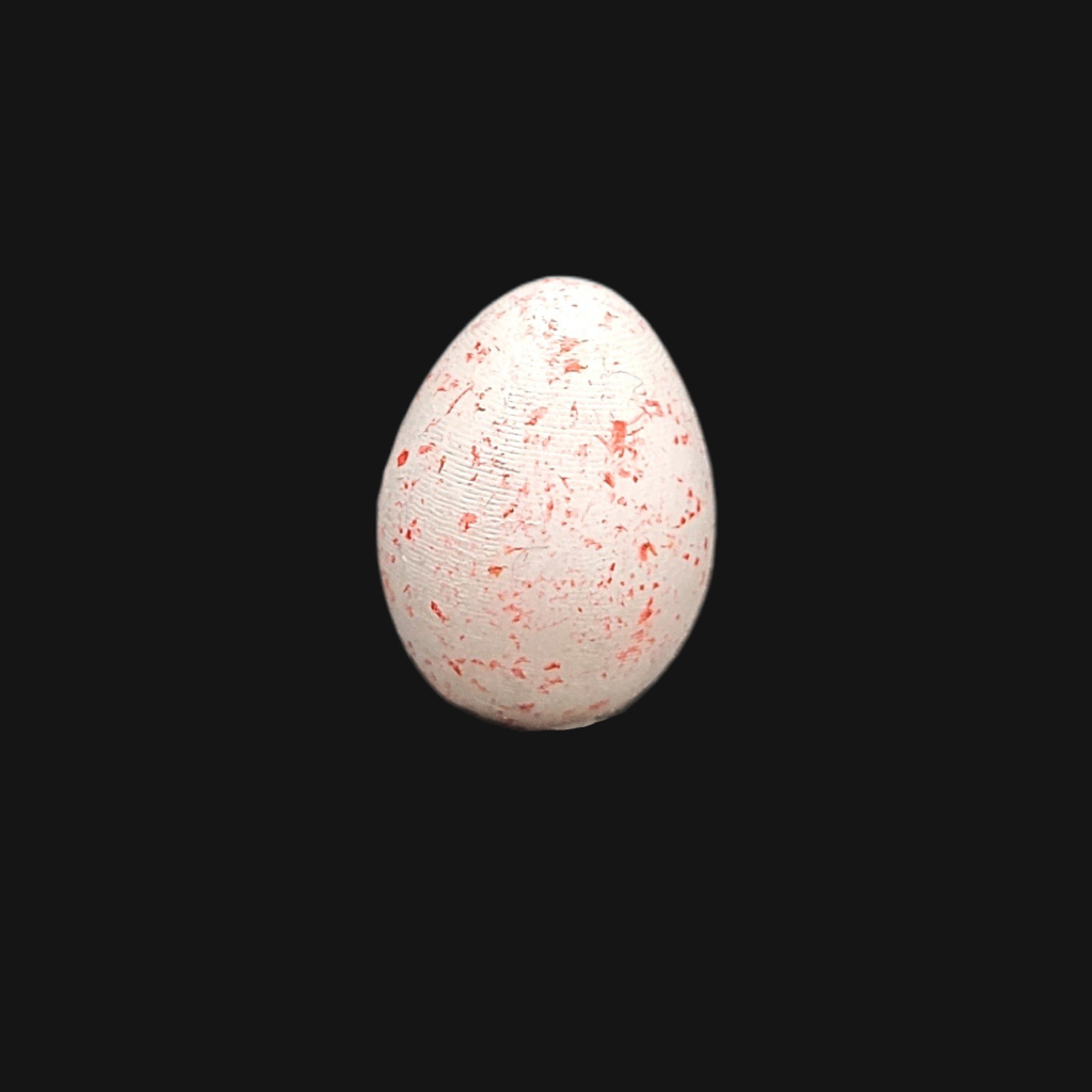 Œuf de mésange charbonnière – Image 1