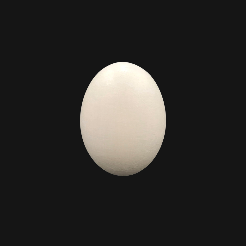 Œuf de paon bleu – Image 1