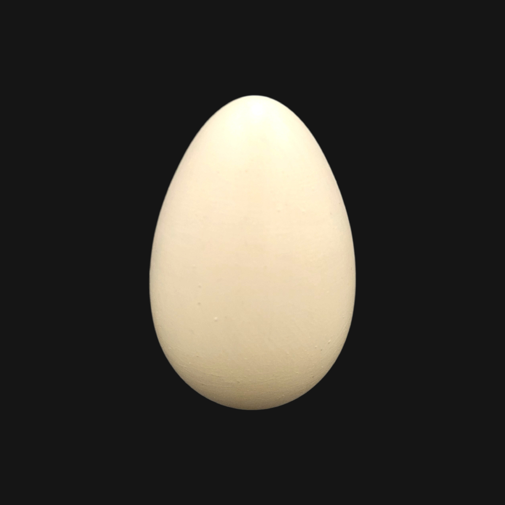Œuf de pélican blanc – Image 1