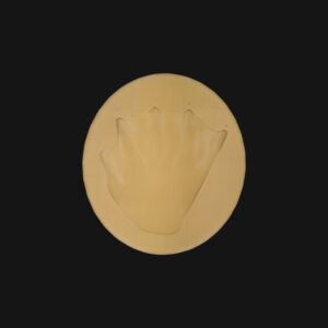 Pack "loutre géante" – Image 8
