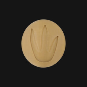 Pack "manchot de Humboldt" – Image 8