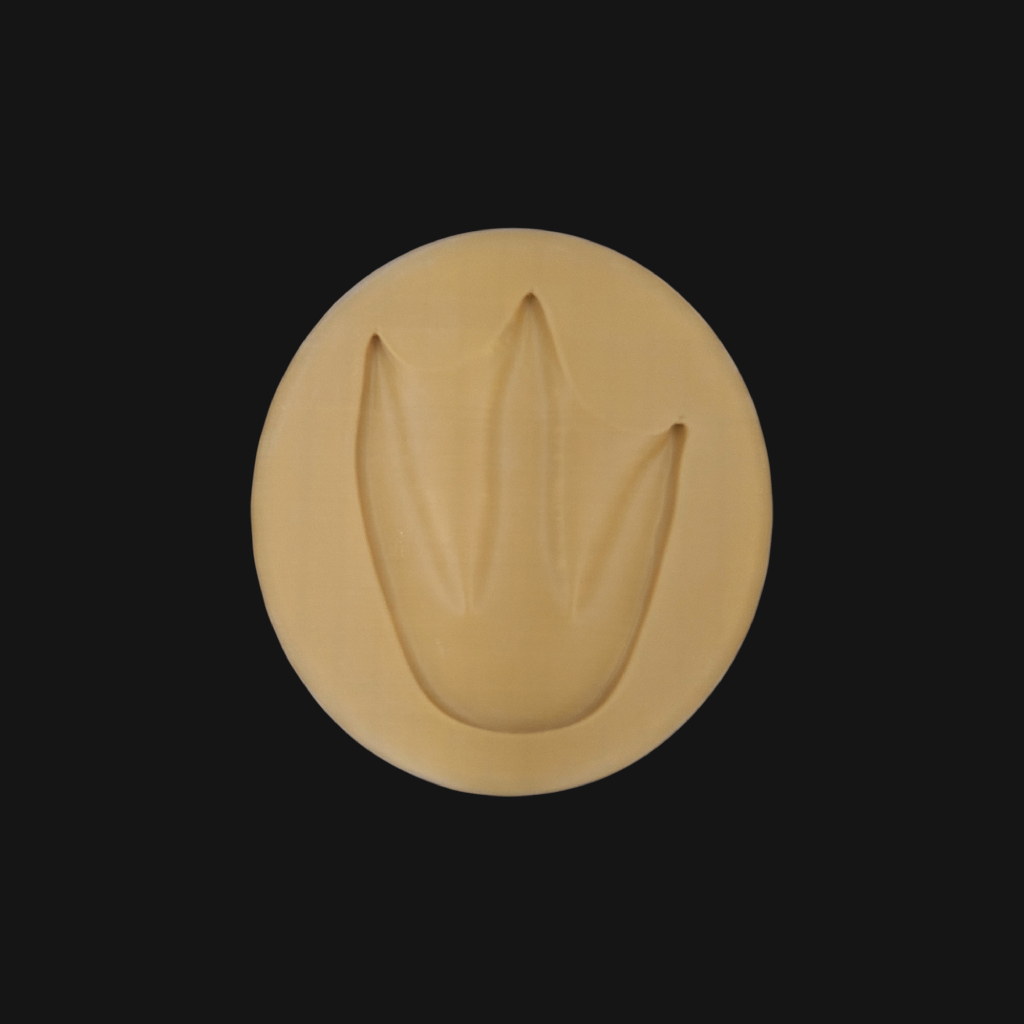 Pack "manchot de Humboldt" – Image 8