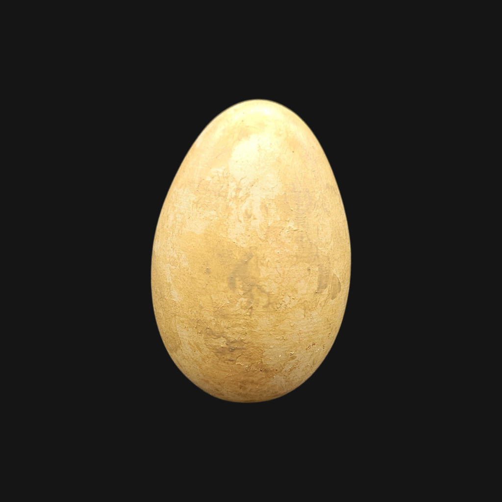 Pack "grèbe huppé" – Image 9