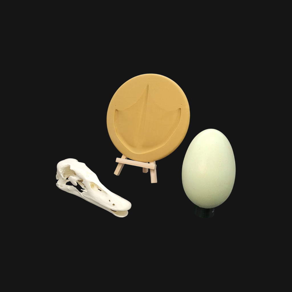 Pack "cygne" – Image 1