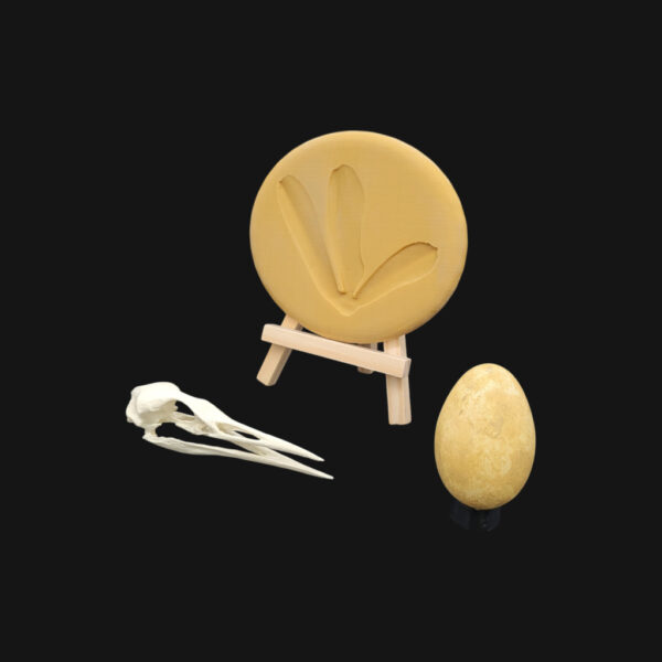 Pack "grèbe huppé"