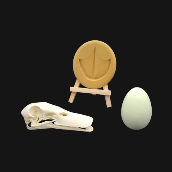 Pack "canard colvert"
