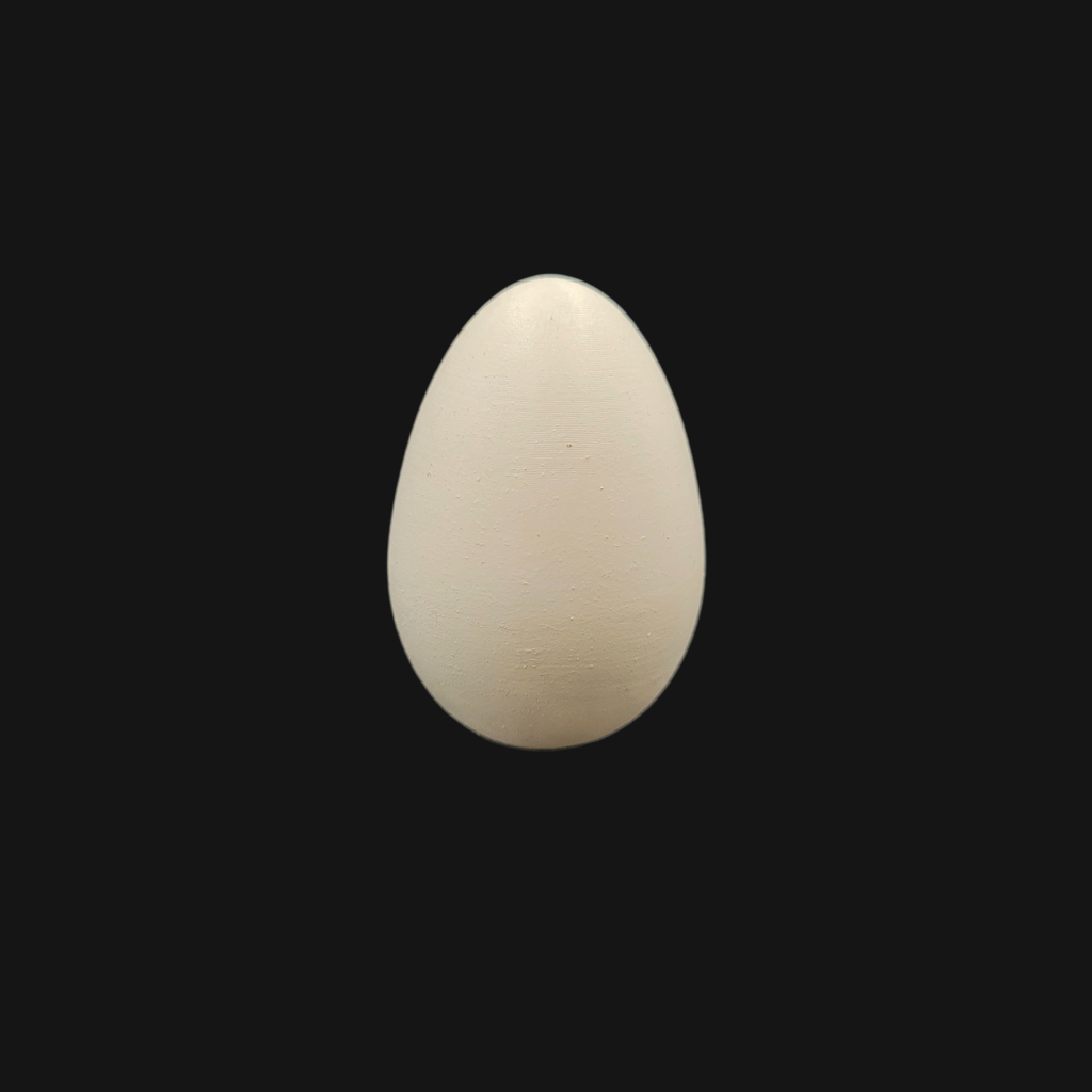 Œuf d'ibis sacré